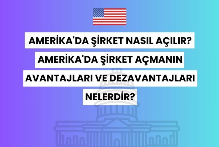 Amerika’da Şirket Nasıl Açılır? Amerika’da Şirket Açmanın Avantajları ve Dezavantajları Nelerdir?